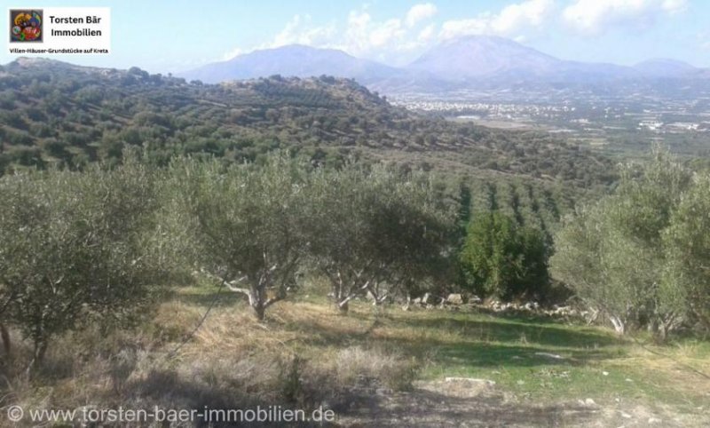 Vori Kreta, Vori Olivenhain 200.000m² mit 2 Gebäuden zu verkaufen Grundstück kaufen